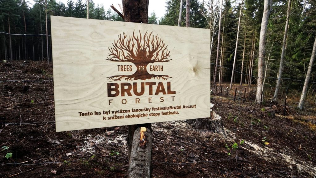 Brutal forest